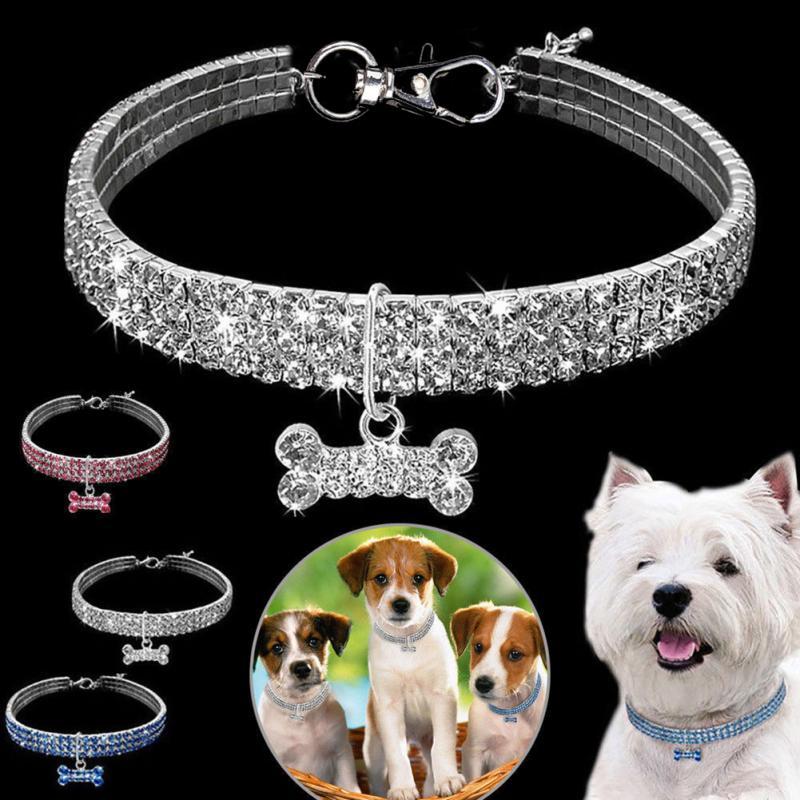 Hundhalsband