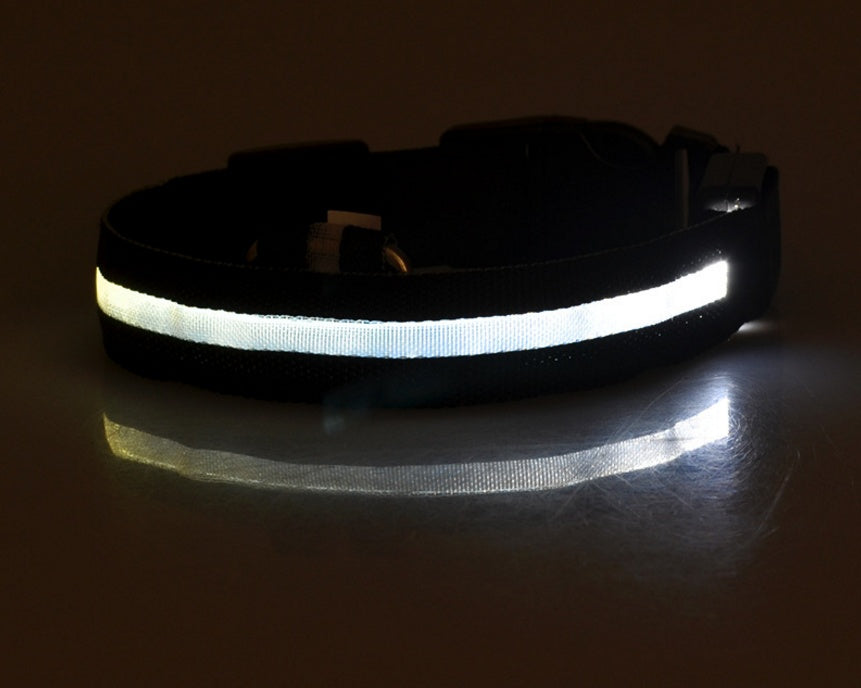 LED - Halsband
