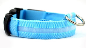 LED - Halsband