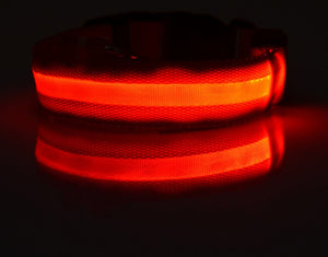 LED - Halsband
