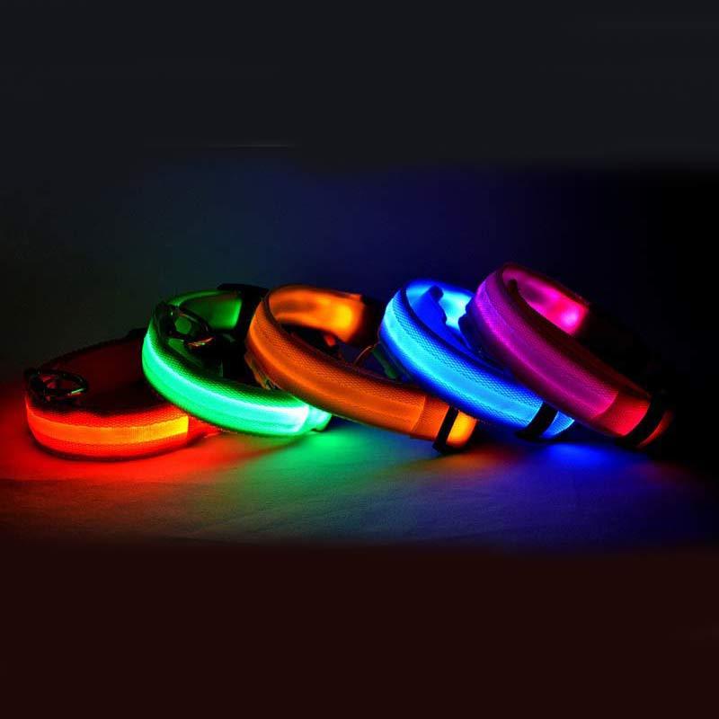 LED - Halsband