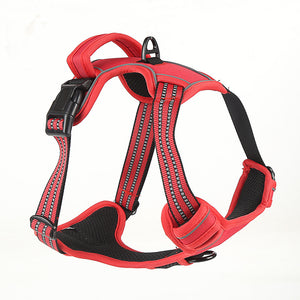 Reflekterande hundselen