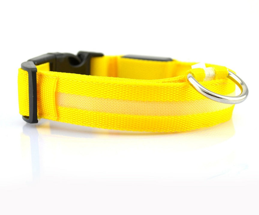 LED - Halsband
