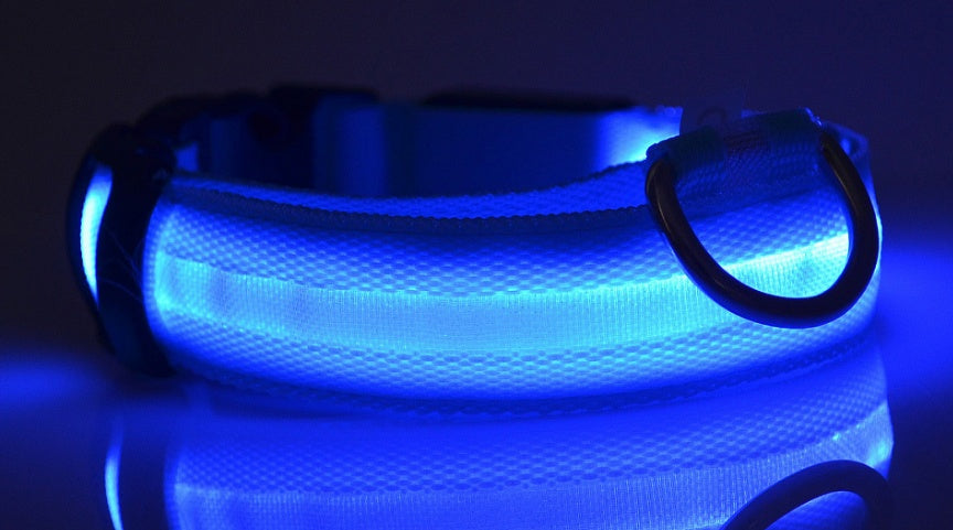 LED - Halsband