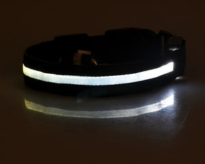 LED - Halsband