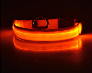 LED - Halsband