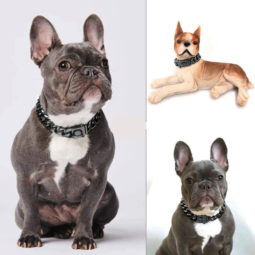 Rostfritt hundhalsband