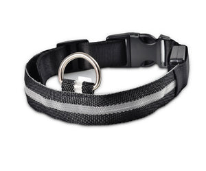LED - Halsband