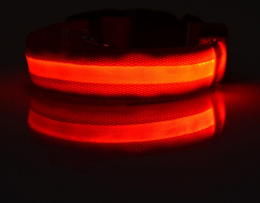 LED - Halsband