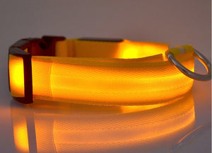 LED - Halsband